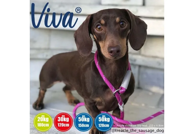 Ancol - Viva Nylon Reflective Rope Slip Lead - Lime - 120cm x 10mm (Max 30kg)