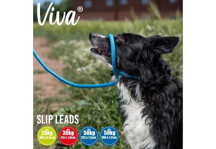 Ancol - Viva Nylon Reflective Rope Slip Lead - Lime - 120cm x 10mm (Max 30kg)