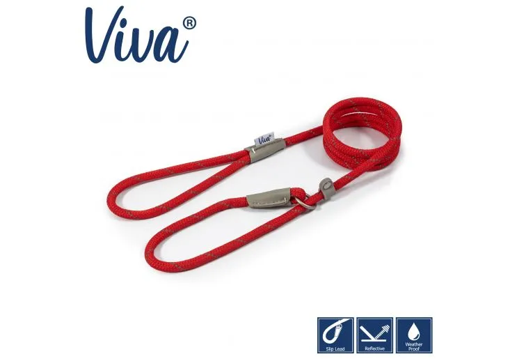 Ancol - Viva Nylon Reflective Rope Slip Lead - Lime - 120cm x 10mm (Max 30kg)