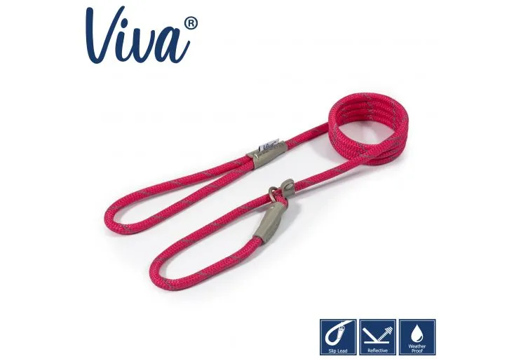 Ancol - Viva Nylon Reflective Rope Slip Lead - Lime - 120cm x 10mm (Max 30kg)