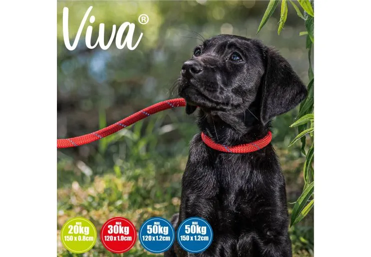 Ancol - Viva Nylon Reflective Rope Slip Lead - Lime - 120cm x 10mm (Max 30kg)