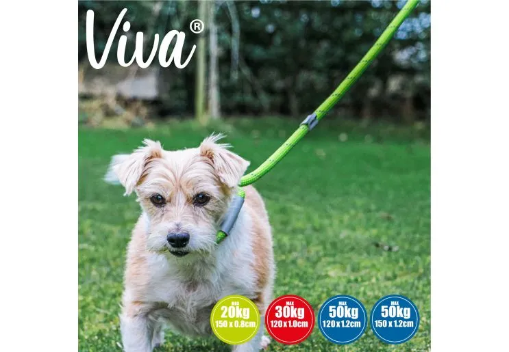 Ancol - Viva Nylon Reflective Rope Slip Lead - Lime - 120cm x 10mm (Max 30kg)