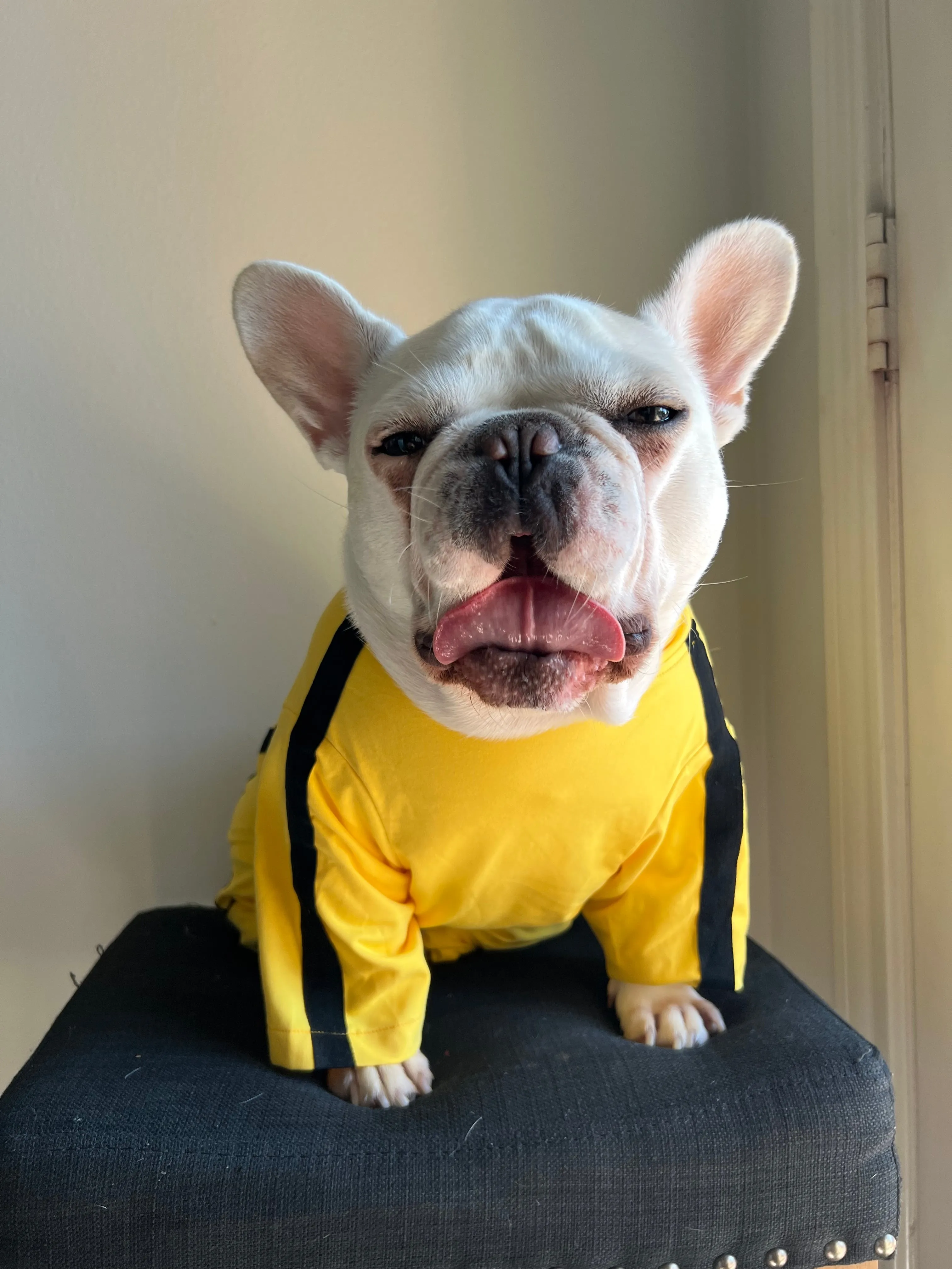 Bruce Lee The Bride Kill Bill Yellow Jumpsuit