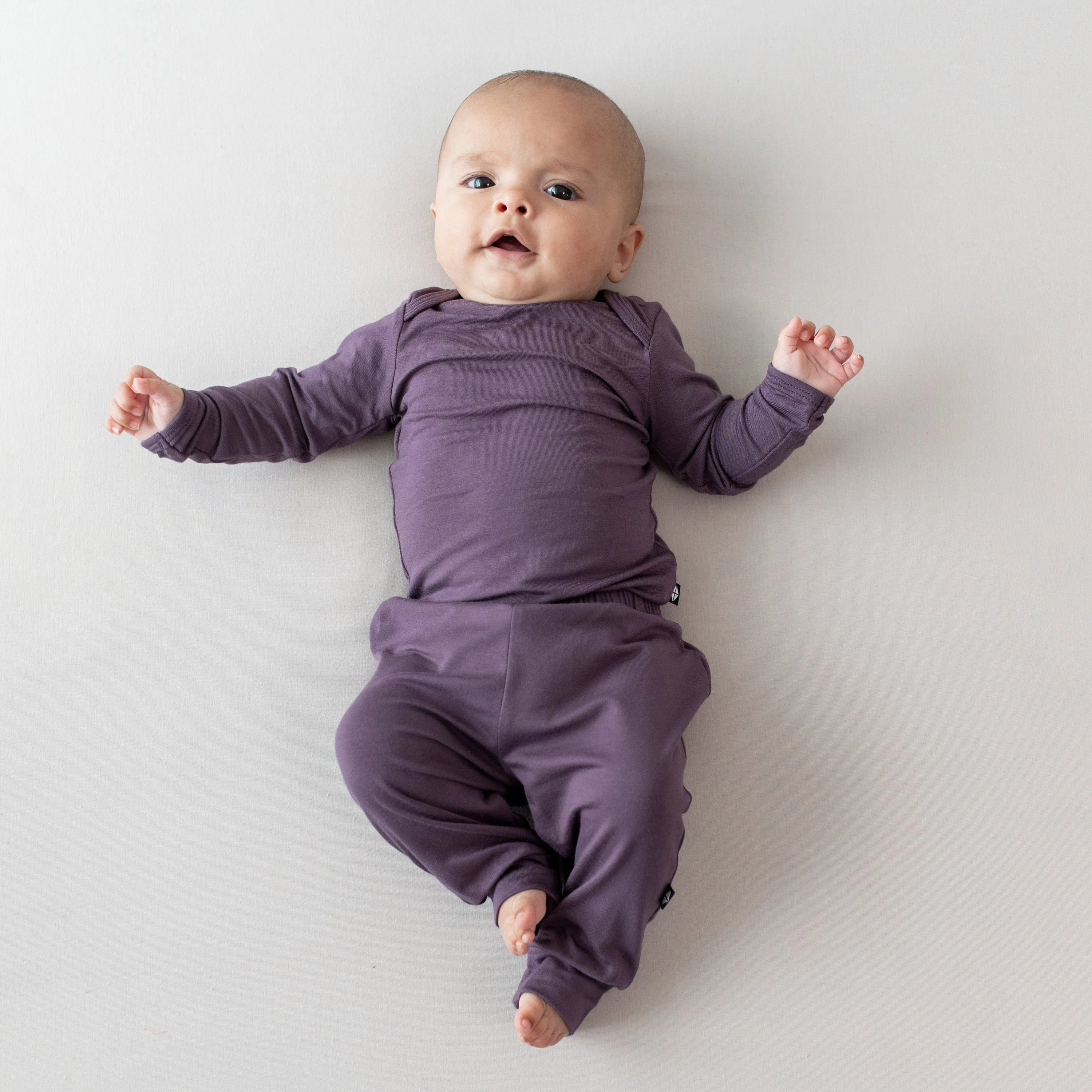 Long Sleeve Bodysuit in Currant