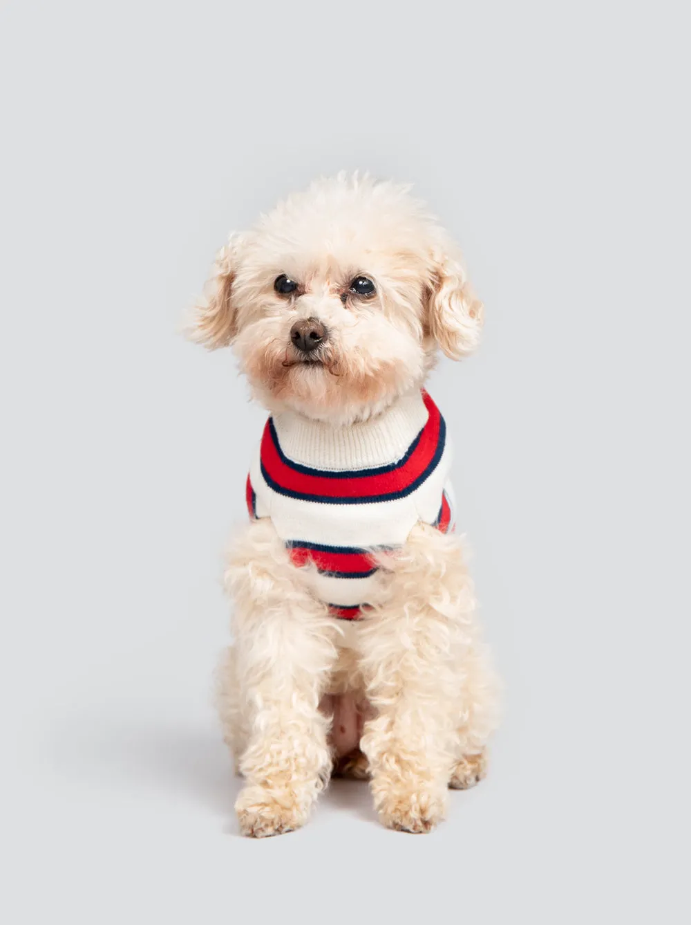 Rugby Sweater